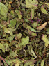 Marrakesh Touch - Thé Vert - MysteryTea